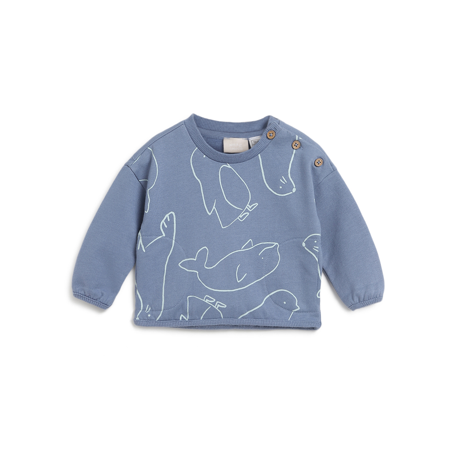 Boys Printed Sweatshirt-Light Blue